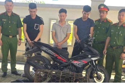 Triệt phá ổ nhóm 'cẩu tặc' bằng súng điện tự chế trên địa bàn tỉnh Hà Tĩnh