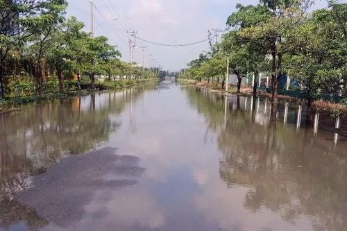Sớm khắc phục tình trạng ngập úng tại Khu công nghiệp Đức Hòa 1