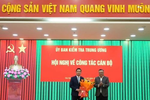 Bộ Chính trị chuẩn y ông Trần Văn Phúc làm Phó chủ nhiệm Ủy ban Kiểm tra Trung ương
