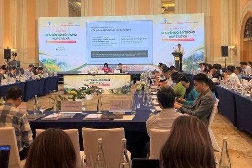 Chuyển đổi số trong hợp tác xã: Xây dựng dữ liệu, nâng cao năng lực quản trị, mở rộng thị trường