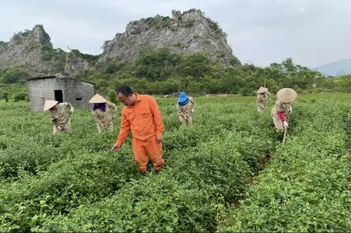 Hà Nội tăng trưởng 2 con số: Sự đồng hành của Thành phố là 'điểm tựa' cho doanh nghiệp bứt phá
