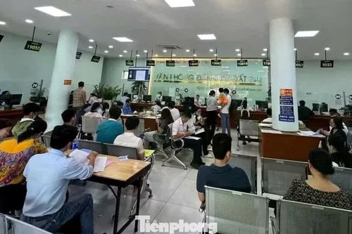 TPHCM làm rõ trách nhiệm xử lý hồ sơ đất đai quá hạn cho dân