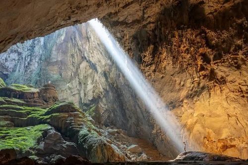 Giả mạo website Oxalis để lừa bán tour Sơn Đoòng
