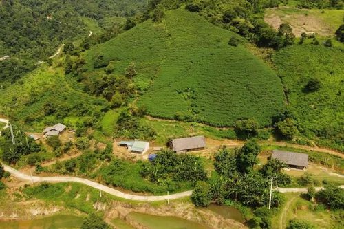 Lào Cai xác định gần 700 thôn đặc biệt khó khăn để ưu tiên nguồn lực