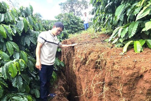 Gia Lai: Thêm một xã xảy ra hiện tượng sạt lở, trượt đất sản xuất