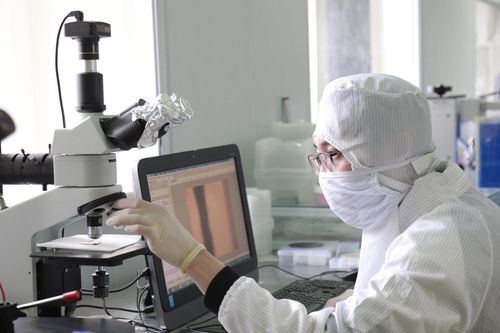 Việt Nam có 9 người lọt nhóm 10.000 nhà khoa học ảnh hưởng nhất thế giới