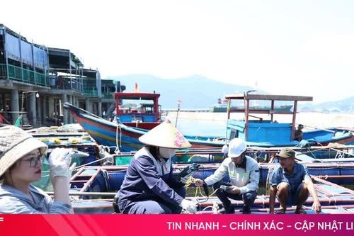Sở NN&MT Hà Tĩnh thông báo kết quả phân tích mẫu cá tại Vũng Áng, Thiên Cầm