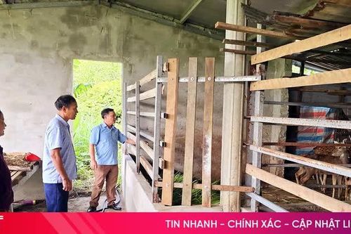 Những người tiên phong đưa đàn hươu về với xã biển Kỳ Xuân
