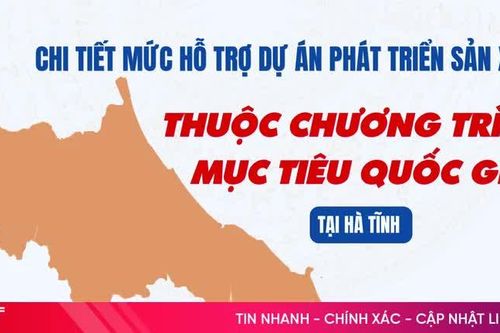 [Infographic] Chi tiết mức hỗ trợ dự án phát triển sản xuất thuộc Chương trình mục tiêu quốc gia tại Hà Tĩnh