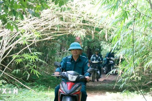Lâm Đồng huy động lực lượng bảo vệ hơn 1,1 triệu ha rừng trước mùa khô