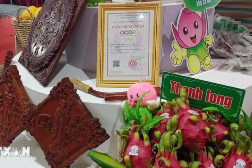 Sản phẩm OCOP tạo động lực mới cho kinh tế nông nghiệp Đồng Tháp