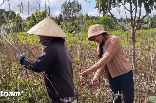 Chung tay giảm nghèo cho các buôn làng ở Lâm Đồng
