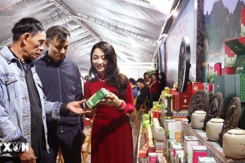 Đưa lợi thế biên giới thành động lực tăng trưởng xuất khẩu mới của Tuyên Quang