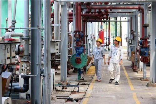 Phát triển nguồn nhân lực chất lượng cao, thúc đẩy ứng dụng khoa học