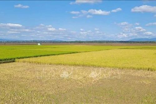 Chủ động ứng phó nguy cơ thiếu hụt nguồn nước do El Nino