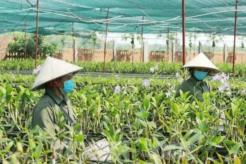 Nông dân đổi cách làm, nâng cao giá trị nông sản