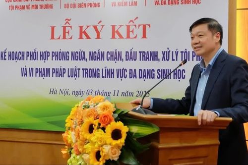 Ông Trần Quang Bảo làm Ủy viên Ủy ban Kiểm tra Trung ương