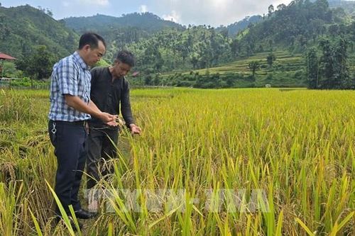 Kết nối, chia sẻ thông tin tài nguyên và môi trường trên môi trường điện tử