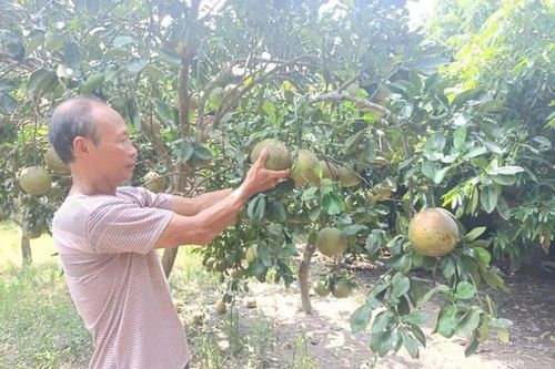 Tỏa sáng giữa đời thường