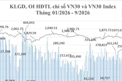 Tháng 9: Giao dịch trái phiếu Chính phủ không có biến động