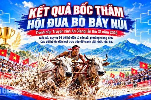 Kết quả bốc thăm 64 đôi bò tranh Cúp Truyền hình An Giang 2026