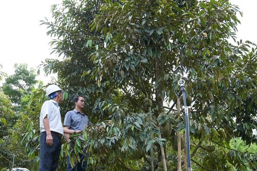 Trợ lực cho phát triển miền núi:Thúc đẩy phát triển bền vững