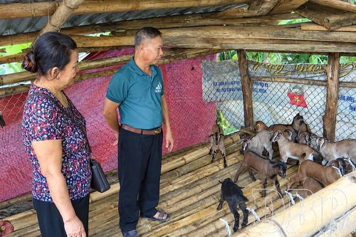 Đa dạng sinh kế, nâng cao thu nhập cho nông dân