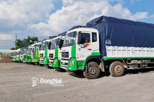 Doanh thu vận tải, kho bãi, dịch vụ hỗ trợ vận tải tăng 20,5%