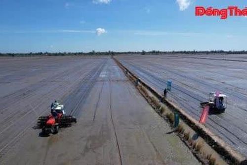 Tiết kiệm phân bón để sản xuất bền vững