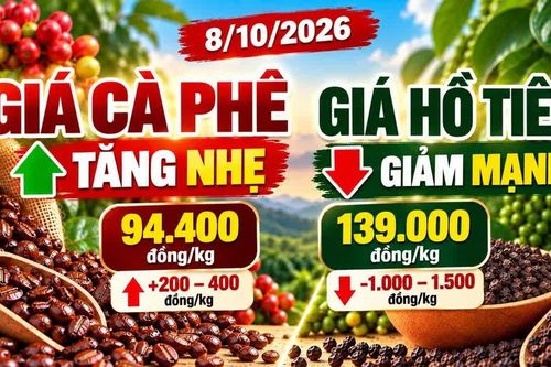 Giá cà phê, hồ tiêu hôm nay 8/10: Cà phê tăng, hồ tiêu đồng loạt giảm