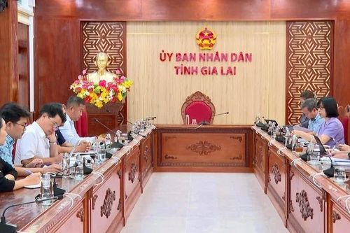 Phó Chủ tịch UBND tỉnh Nguyễn Thị Thanh Lịch làm việc với CLB Quy Nhơn United