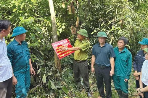 Lào Cai tăng cường bảo vệ rừng, phòng cháy, chữa cháy rừng mùa khô hanh 2026 - 2027