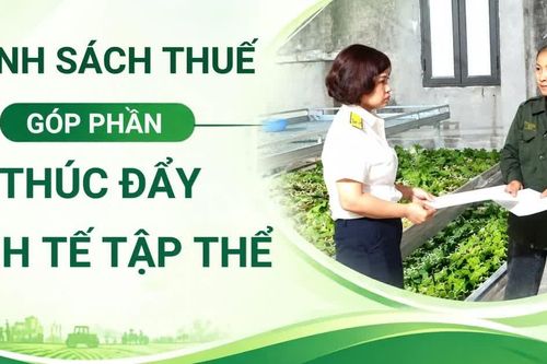 Chính sách thuế góp phần thúc đẩy kinh tế tập thể
