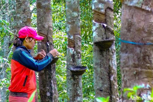 Gieo niềm tin vững chắc của Đảng vào lòng dân