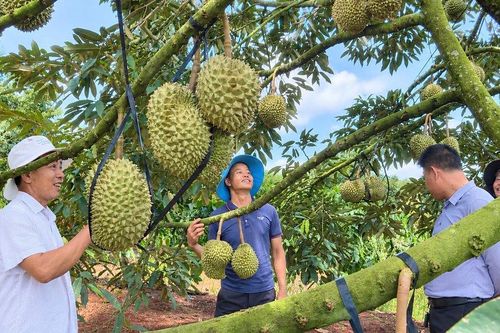 Những nông dân hợp tác vươn lên