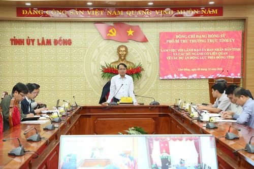 Rà soát tiến độ các dự án động lực phía Đông Lâm Đồng