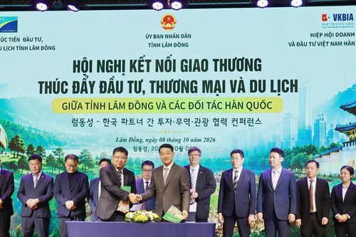 Lâm Đồng - Hàn Quốc thúc đẩy kết nối giao thương trên nhiều lĩnh vực