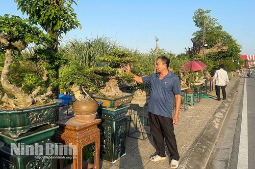 Tổ chức Hội chợ Sinh vật cảnh khu vực Hà Nam năm 2026