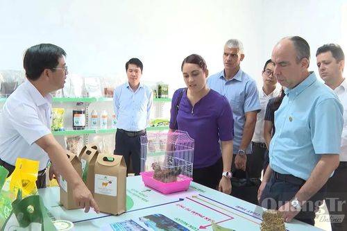 Chủ động hội nhập quốc tế, mở rộng không gian phát triển