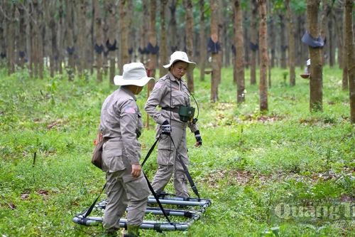Phát huy hiệu quả nguồn viện trợ quốc tế