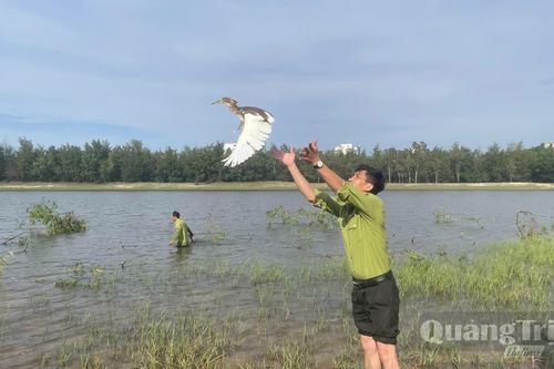 Ngăn chặn săn bắt chim hoang dã