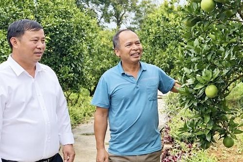 Lan tỏa các mô hình 'Dân vận khéo'