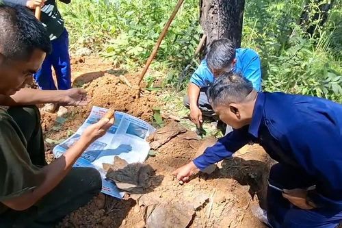Gia Lai: Quy tập 3 hài cốt cùng mảnh tăng bộ đội tại vườn rẫy người dân
