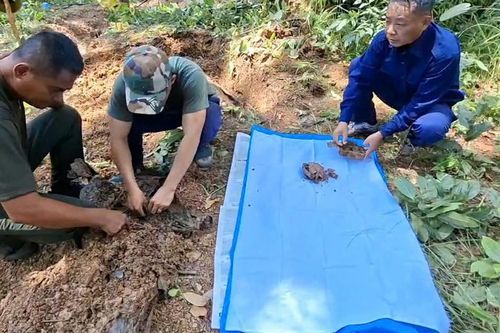 Gia Lai: Quy tập 5 hài cốt và di vật của liệt sĩ hi sinh tại Campuchia