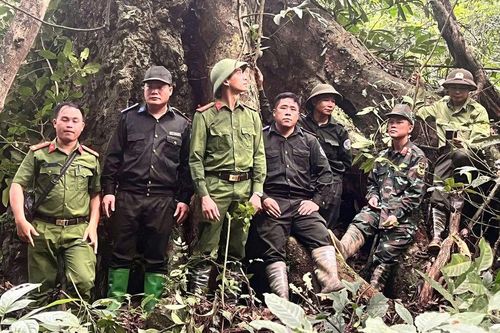 Tuyên Quang: Quản lý, bảo vệ rừng đặc dụng Nà Hang gắn với sinh kế người dân sống gần rừng