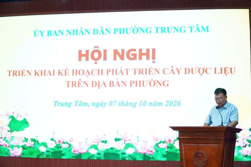 Lào Cai phát triển cây dược liệu gắn với bảo tồn tài nguyên và sinh kế xanh