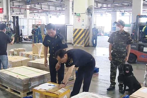 Cải cách Hải quan: Tạo thuận lợi thương mại, thúc đẩy chuỗi cung ứng xanh và bền vững