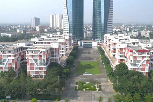 Chăm chút khoảng xanh học đường