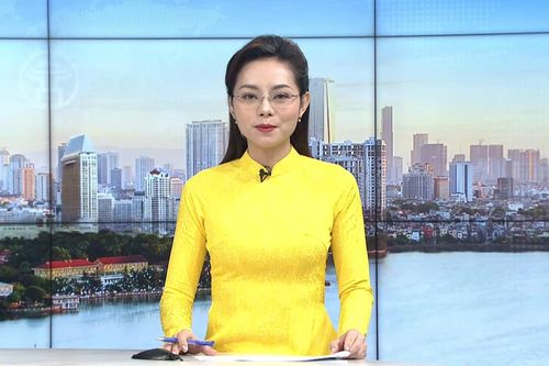 Chương trình Thời sự 11h30 | 08/10/2026