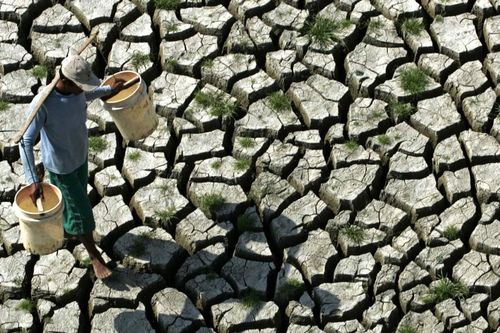 Tổ chức Khí tượng Thế giới: El Niño 2026 có thể thuộc nhóm mạnh nhất từ năm 1950